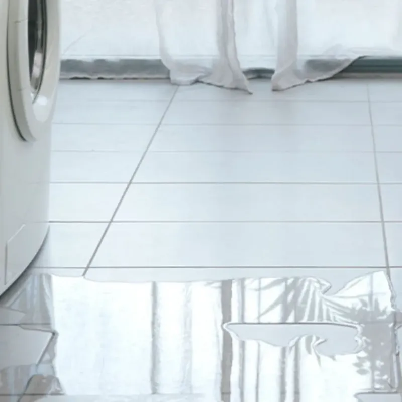 Appliance Leak Cleanup in Waterville, WA