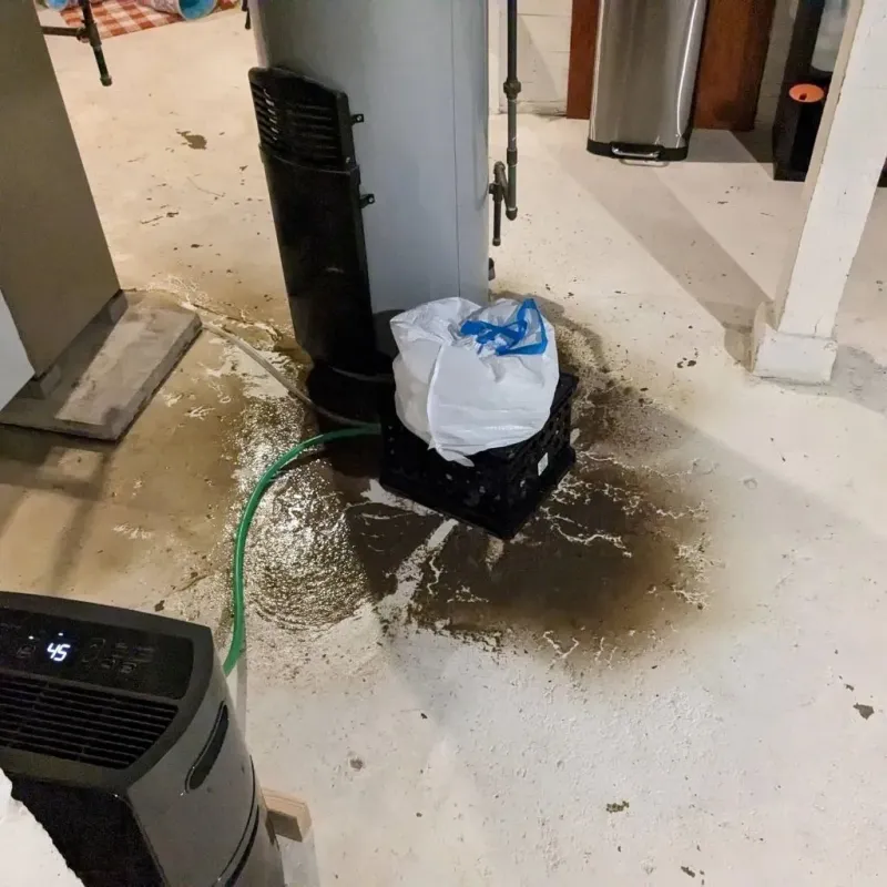 Sewage Backup Cleanup Service in Waterville, WA